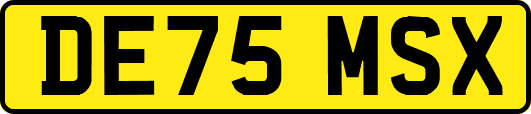 DE75MSX