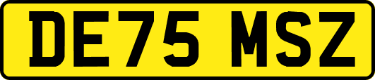 DE75MSZ