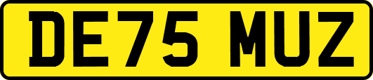 DE75MUZ