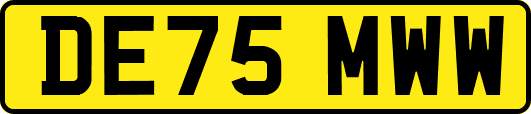 DE75MWW