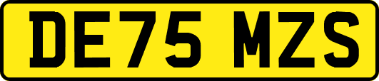 DE75MZS