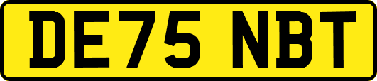 DE75NBT