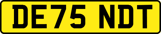 DE75NDT