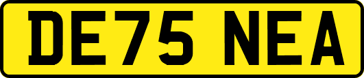DE75NEA