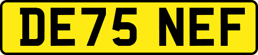 DE75NEF