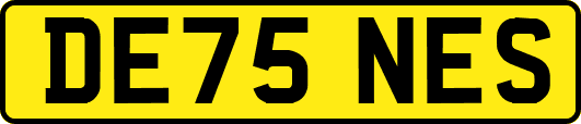 DE75NES