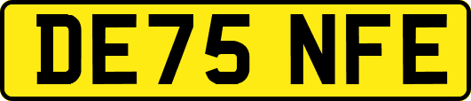 DE75NFE