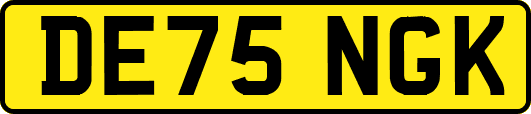 DE75NGK