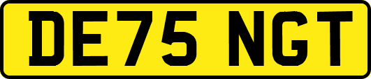 DE75NGT