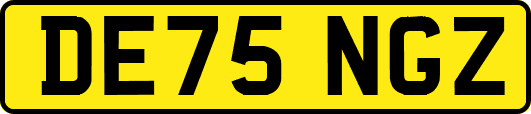 DE75NGZ
