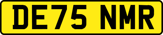 DE75NMR