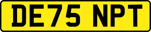 DE75NPT