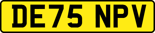 DE75NPV