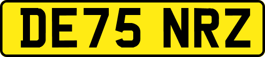 DE75NRZ