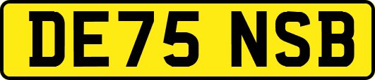 DE75NSB