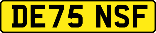 DE75NSF