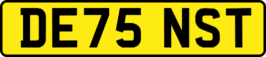 DE75NST