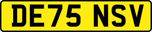 DE75NSV