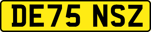 DE75NSZ