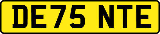 DE75NTE