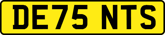 DE75NTS