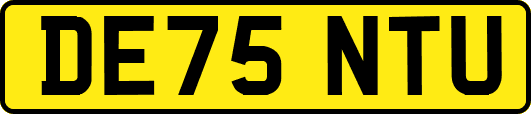 DE75NTU