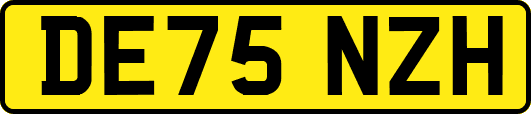 DE75NZH