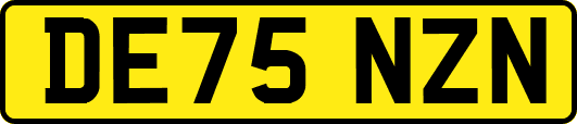 DE75NZN