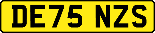DE75NZS