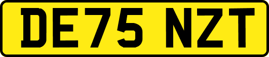 DE75NZT