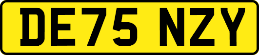 DE75NZY