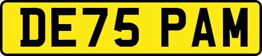 DE75PAM
