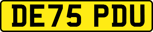 DE75PDU