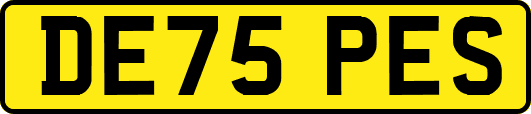DE75PES