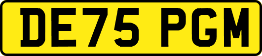 DE75PGM