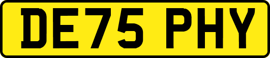 DE75PHY