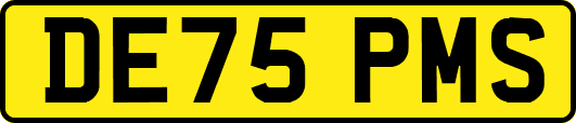 DE75PMS