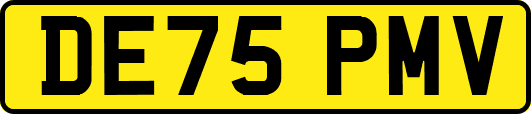 DE75PMV