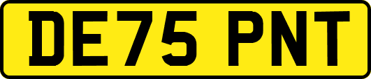 DE75PNT