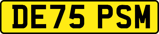 DE75PSM
