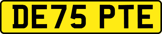DE75PTE
