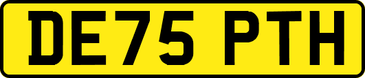 DE75PTH