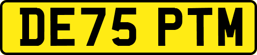 DE75PTM