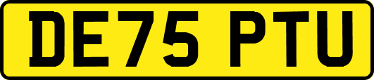 DE75PTU