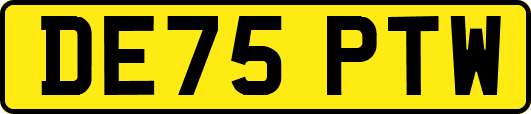 DE75PTW