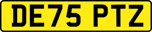DE75PTZ