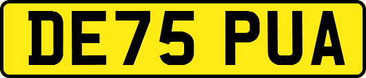 DE75PUA