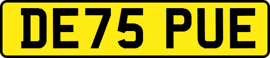 DE75PUE