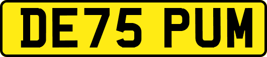 DE75PUM