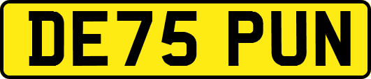 DE75PUN